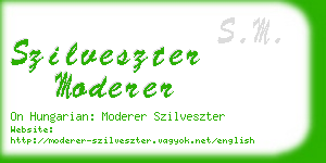 szilveszter moderer business card